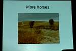 DSC00104.JPG