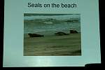 DSC00105.JPG