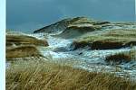 DSC00108.JPG