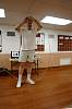 DSC00116.JPG