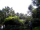 DSCN0013.JPG