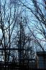 DSC00013.JPG